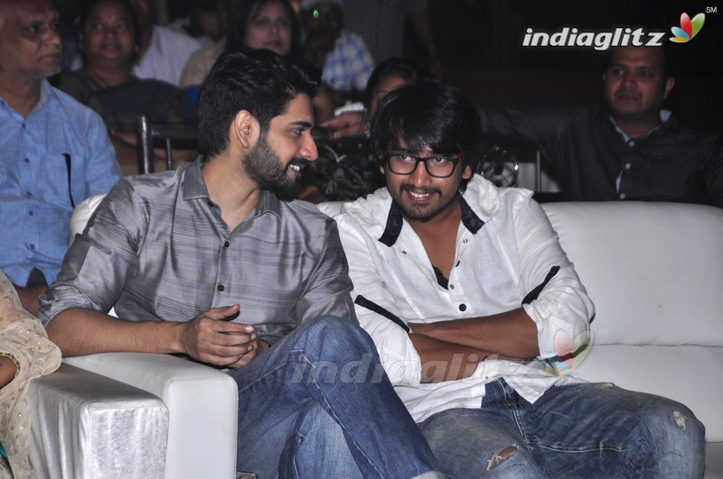 'Eedo Rakam Aado Rakam' Audio Launch (Set-1)