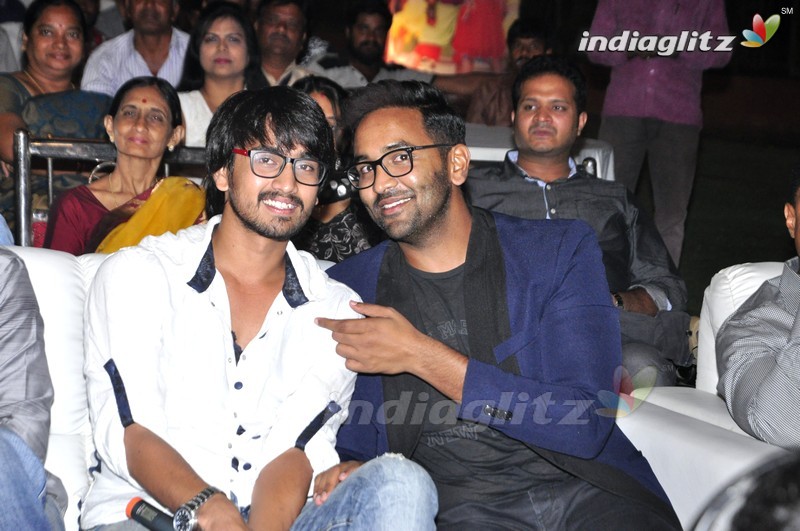 'Eedo Rakam Aado Rakam' Audio Launch (Set-2)