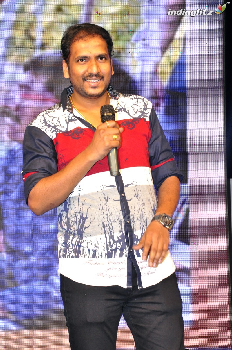 'Eedo Rakam Aado Rakam' Audio Launch (Set-2)