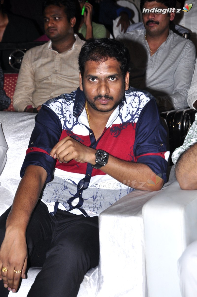 'Eedo Rakam Aado Rakam' Audio Launch (Set-2)