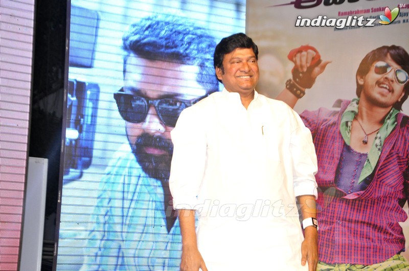 'Eedo Rakam Aado Rakam' Audio Launch (Set-2)