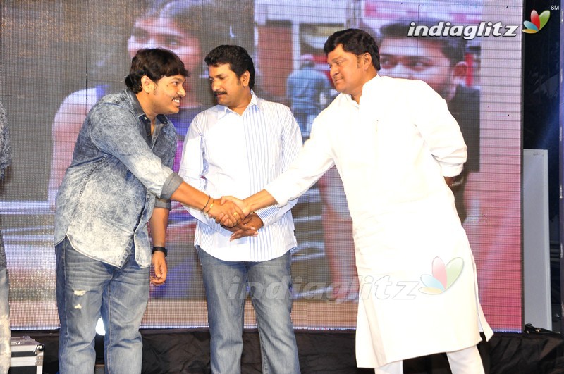 'Eedo Rakam Aado Rakam' Audio Launch (Set-2)