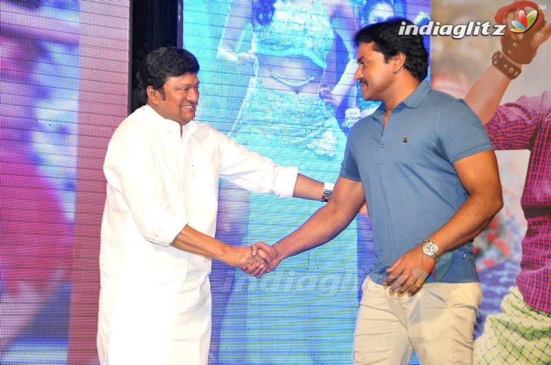 'Eedo Rakam Aado Rakam' Audio Launch (Set-2)