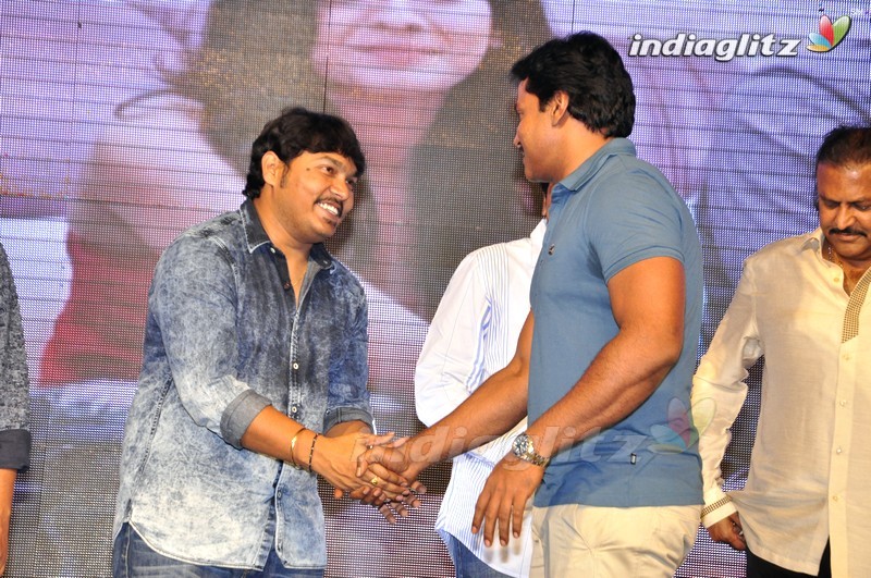 'Eedo Rakam Aado Rakam' Audio Launch (Set-2)