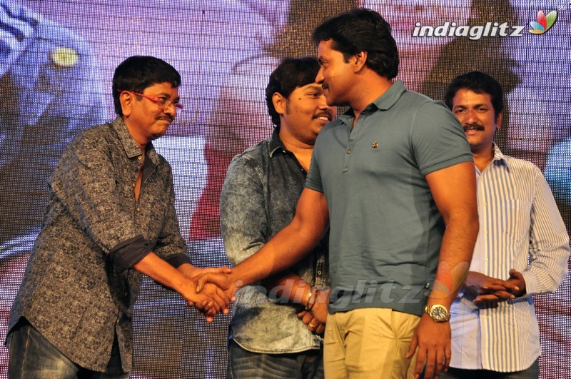 'Eedo Rakam Aado Rakam' Audio Launch (Set-2)