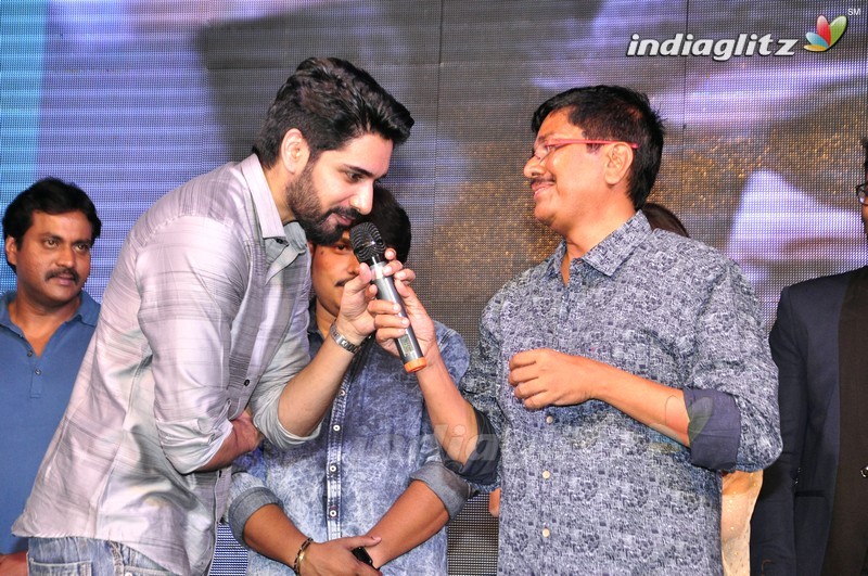 'Eedo Rakam Aado Rakam' Audio Launch (Set-2)