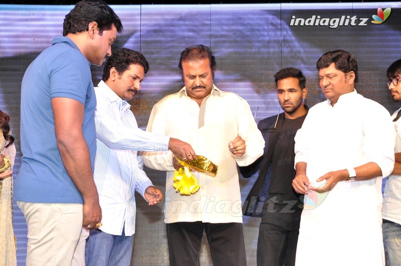 'Eedo Rakam Aado Rakam' Audio Launch (Set-2)