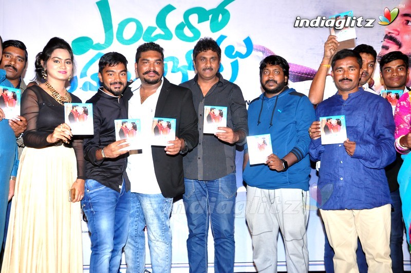 'Endaro Mahanubhavulu' Audio Launch