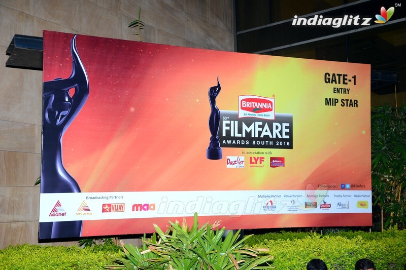 Celebs @ Film Fare Awards 2016