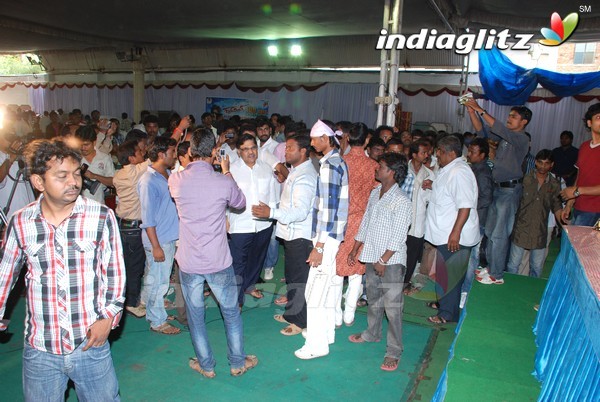 Pawan Fans Celebrates 'Gabbar Singh' 100 Days
