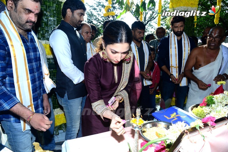 Gopichand, Tamannaah New Movie Launch