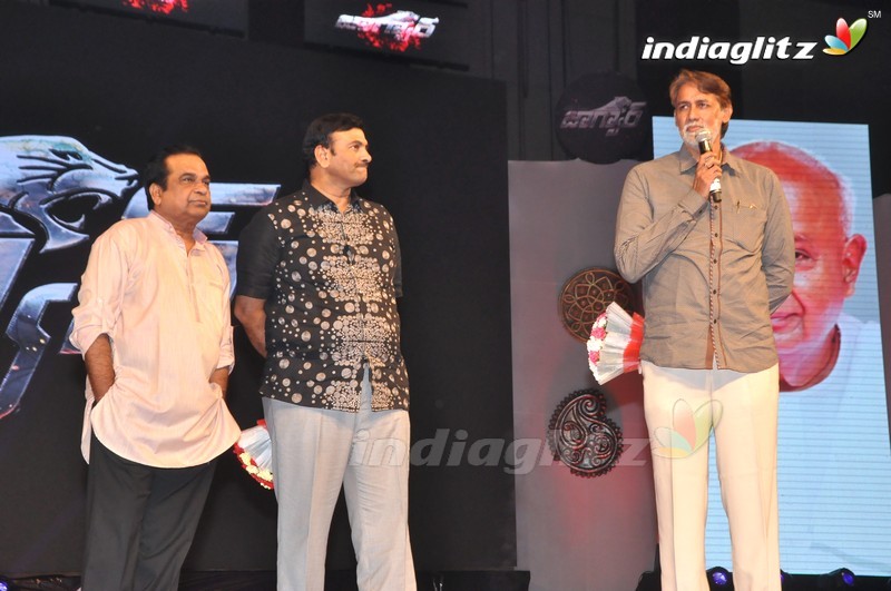 'Jaguar' Audio Launch (Set-2)