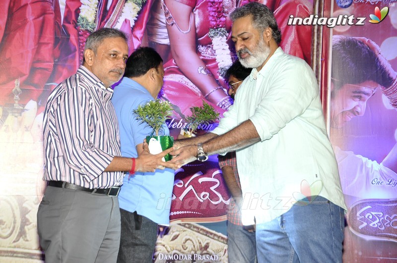 'Kalyana Vaibhogame' Audio Launch (Set-1)