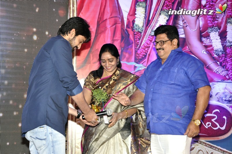 'Kalyana Vaibhogame' Audio Launch (Set-2)