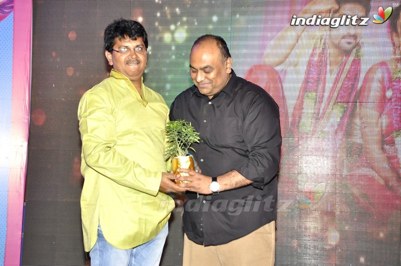 'Kalyana Vaibhogame' Audio Launch (Set-2)