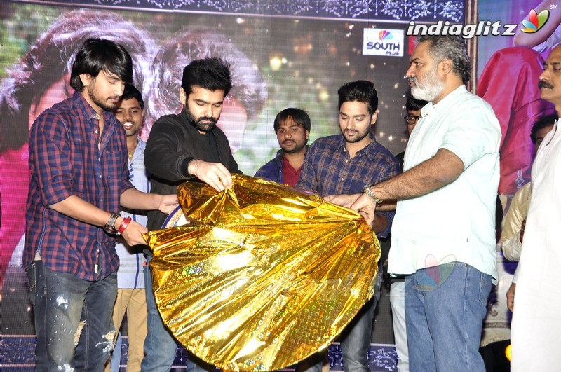 'Kalyana Vaibhogame' Audio Launch (Set-2)