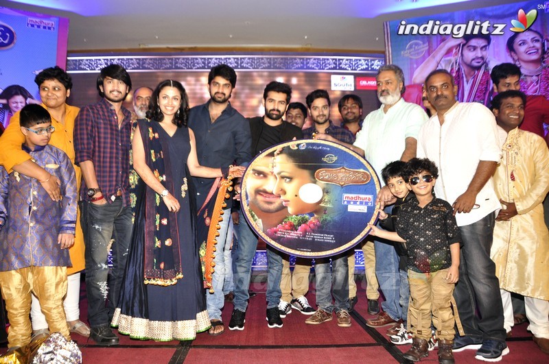 'Kalyana Vaibhogame' Audio Launch (Set-2)