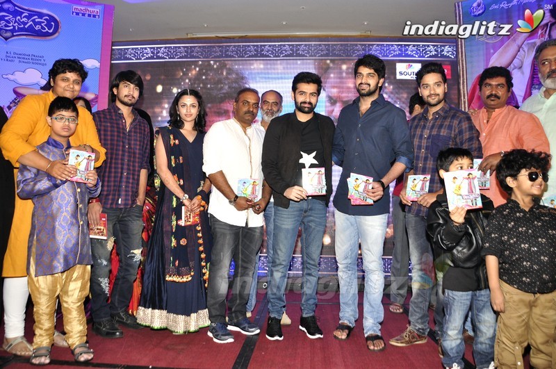 'Kalyana Vaibhogame' Audio Launch (Set-2)