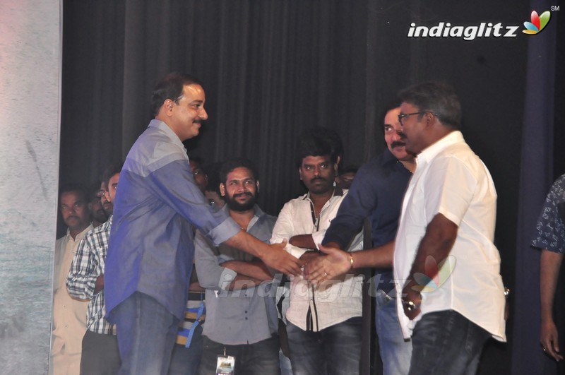 'Krishna Gadi Veera Prema Gaadha' Audio Launch (Set-2)