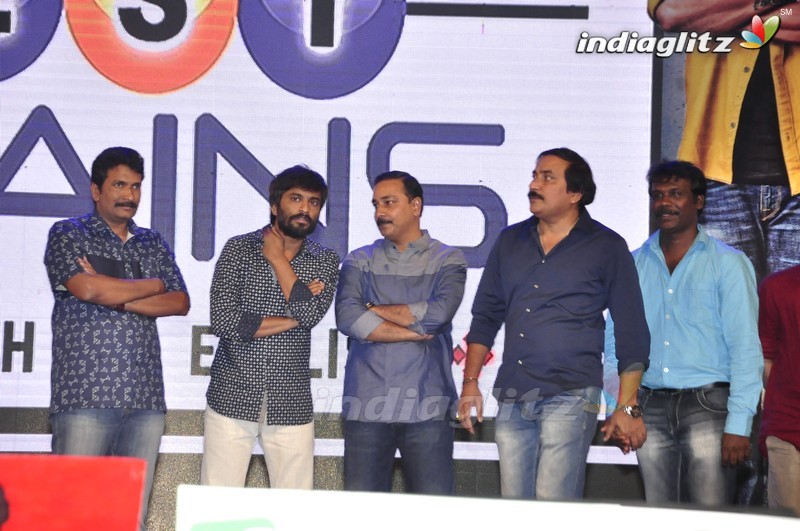 'Krishna Gadi Veera Prema Gaadha' Audio Launch (Set-2)