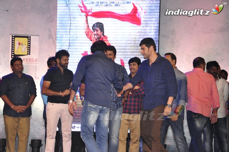 'Krishna Gadi Veera Prema Gaadha' Audio Launch (Set-2)