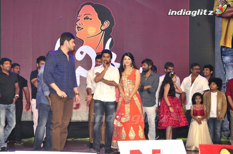 'Krishna Gadi Veera Prema Gaadha' Audio Launch (Set-2)