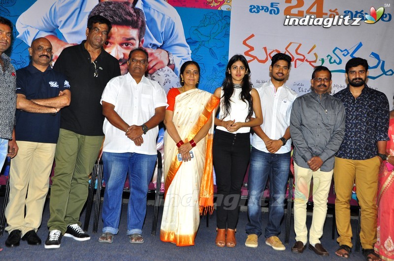 'Kundanapu Bomma' Press Meet