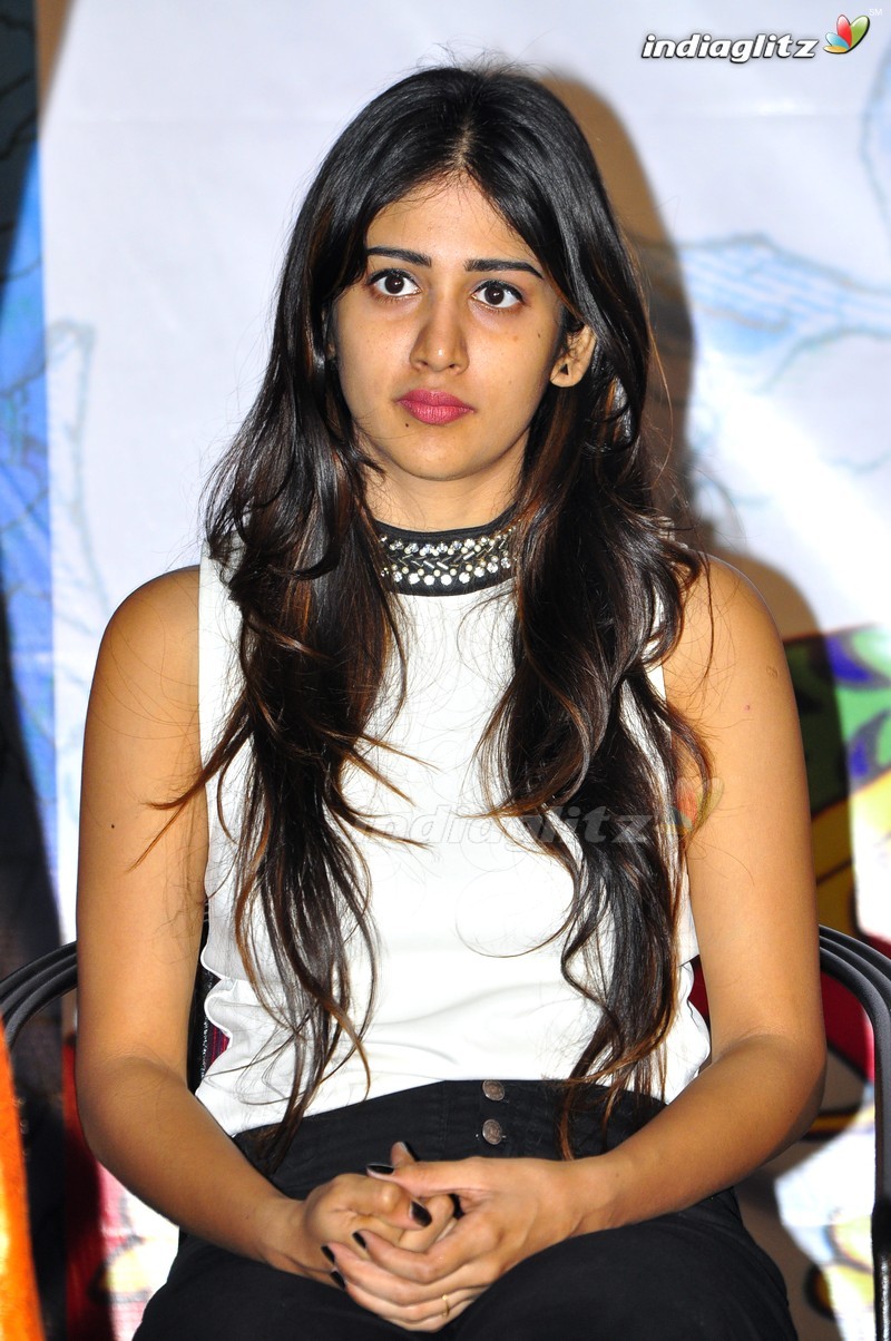 'Kundanapu Bomma' Press Meet