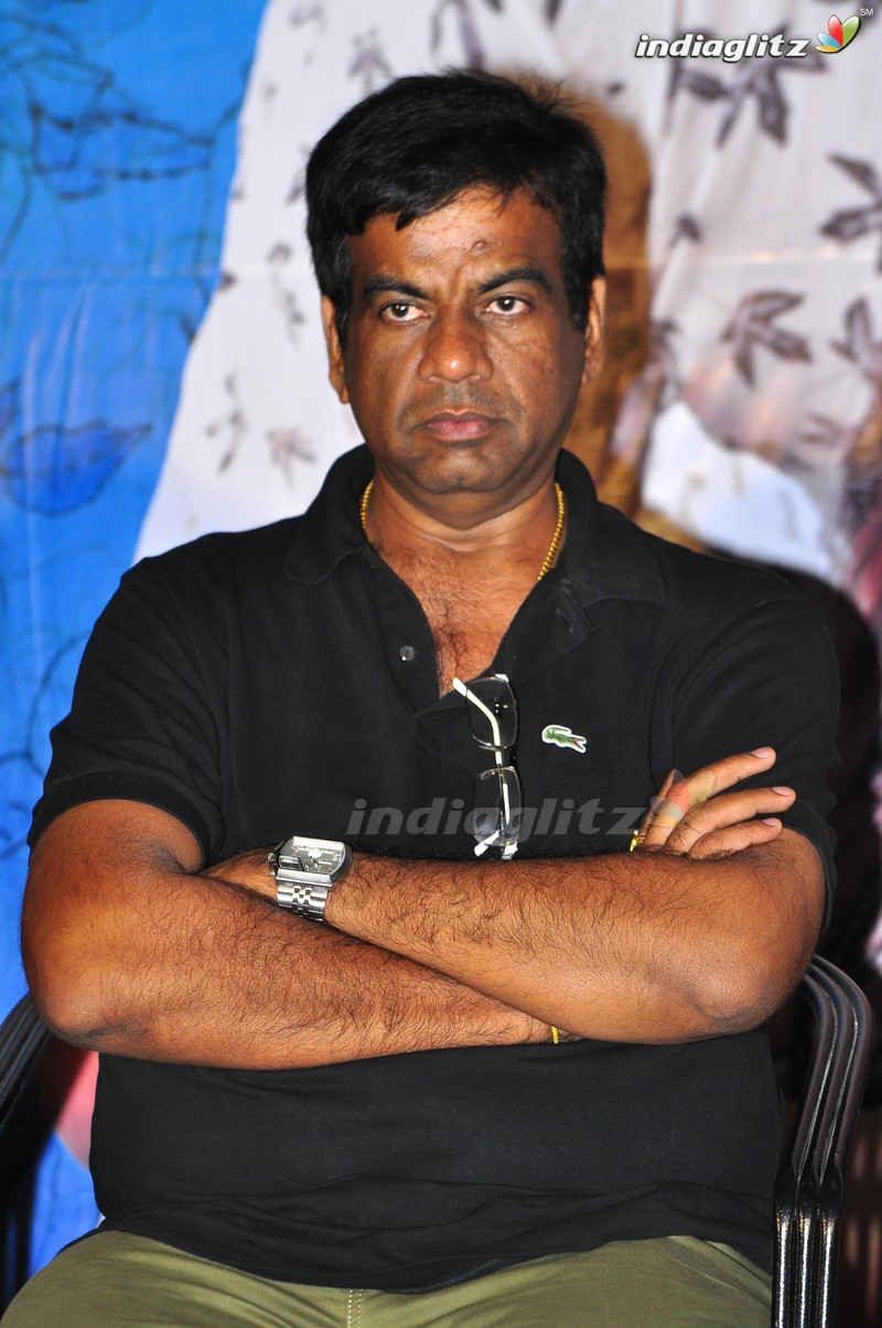 'Kundanapu Bomma' Press Meet