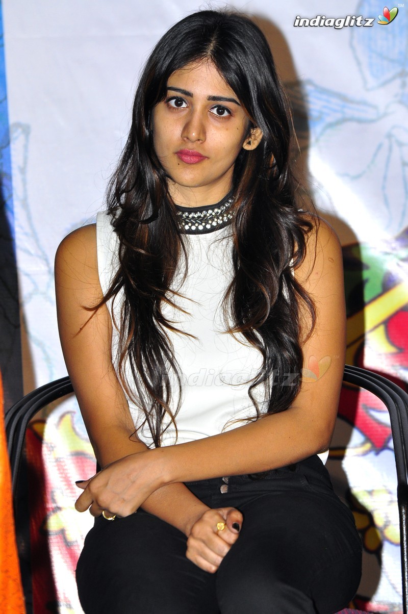 'Kundanapu Bomma' Press Meet