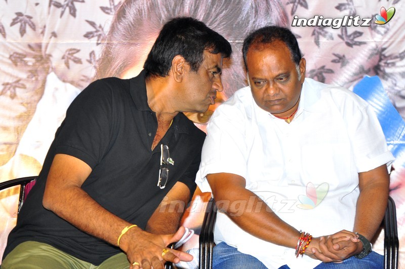 'Kundanapu Bomma' Press Meet