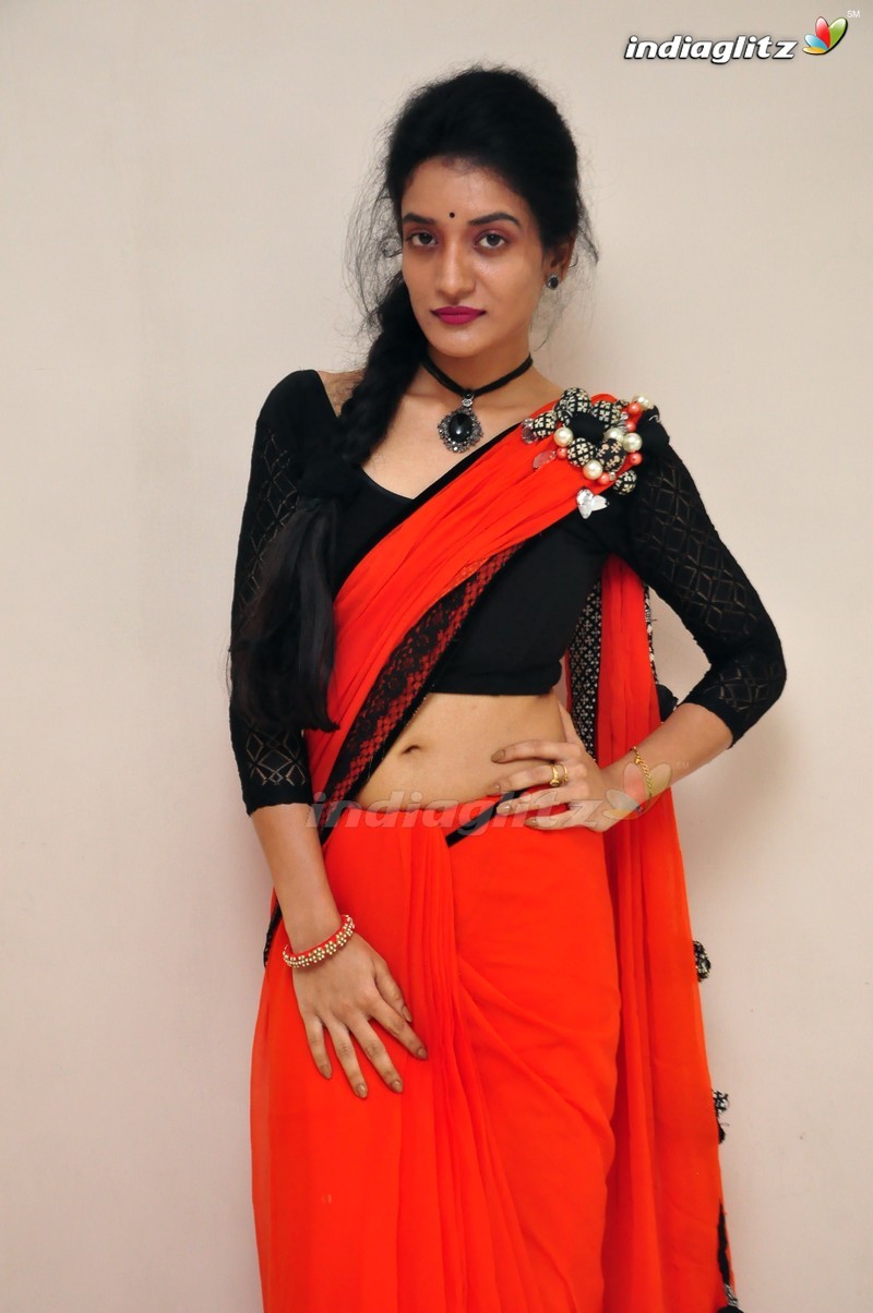 'Lakshmi Devi Samarpinchu Nedechudandi' Platinum Disc