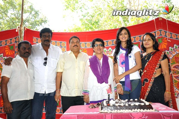 Lovely Unit Celebrates Shanvi Birthday