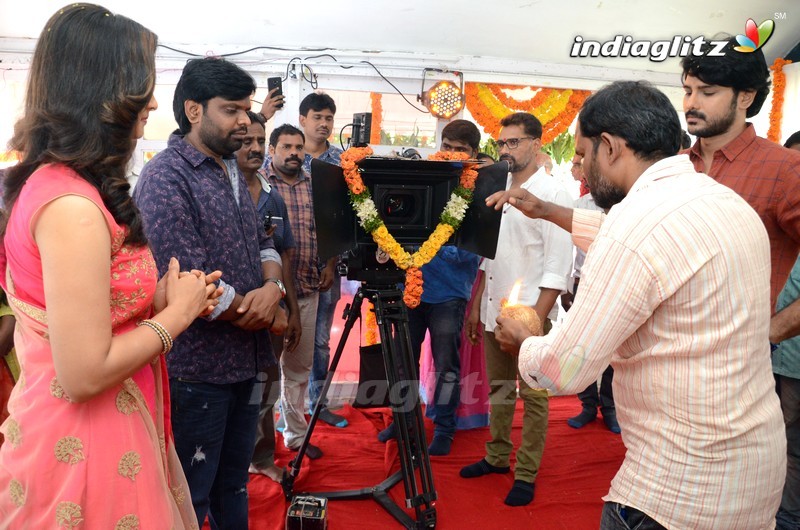 Mahalakshmi Movie Makers Production No 2 Movie Launch