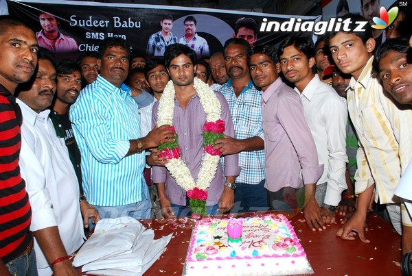 Fans Celebrates Mahesh Babu Birthday