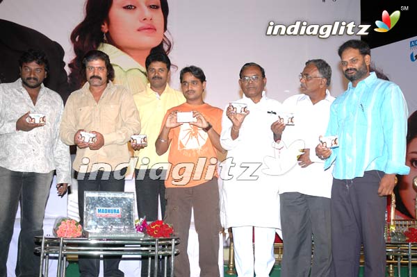 Srihari Launches Audio of 'Manikyam 420'
