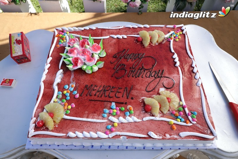 Mehrene Kaur Pirzada Birthday Celebrations