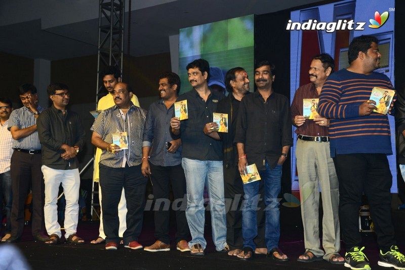 'Meda Meeda Abbayi' Pre - Release Function