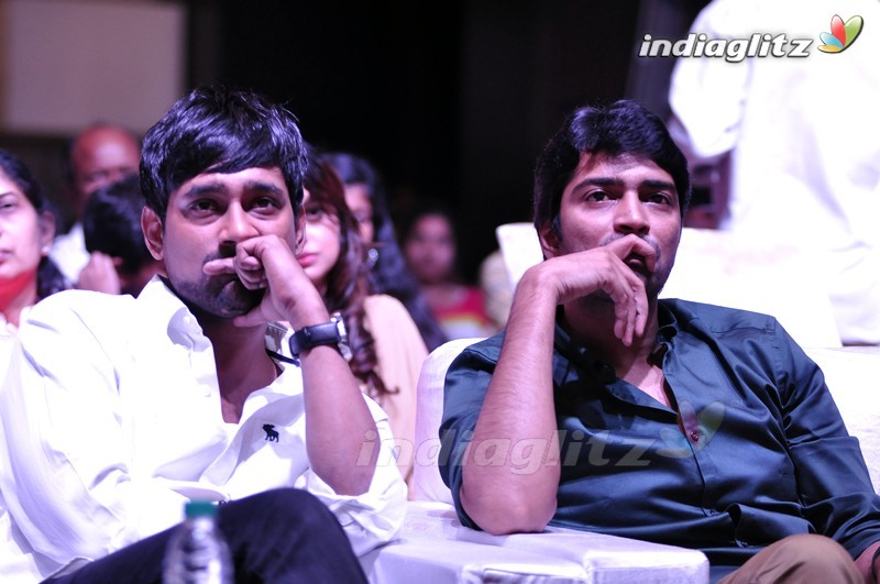 'Mama Manchu Alludu Kanchu' Audio Launch (Set-2)