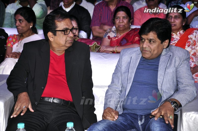 'Mama Manchu Alludu Kanchu' Audio Launch (Set-2)