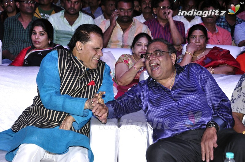 'Mama Manchu Alludu Kanchu' Audio Launch (Set-2)