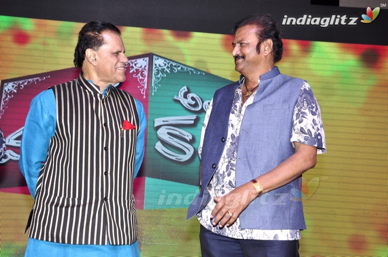 'Mama Manchu Alludu Kanchu' Audio Launch (Set-2)