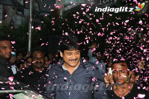 Nagarjuna Inaugurates Kalyan Jewellers In Panjagutta