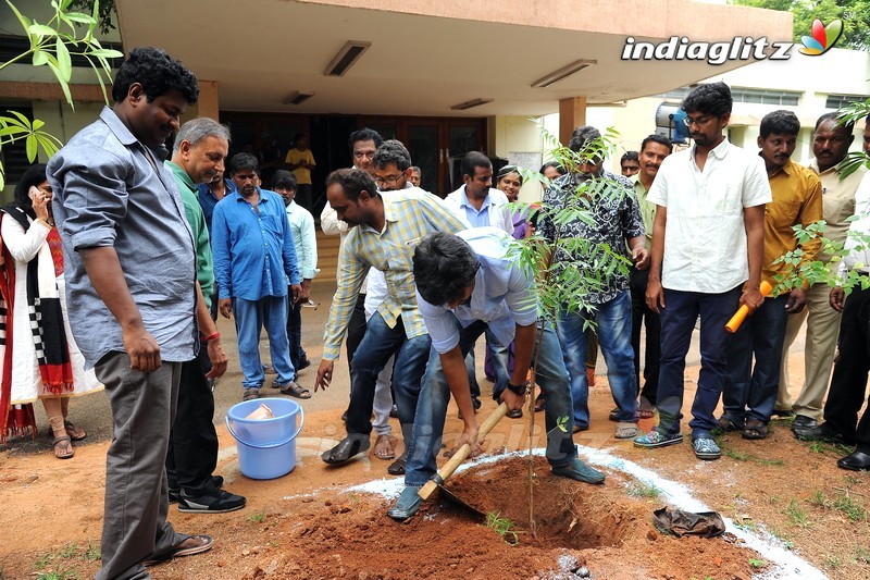 Nani Participates in Haritha Haram