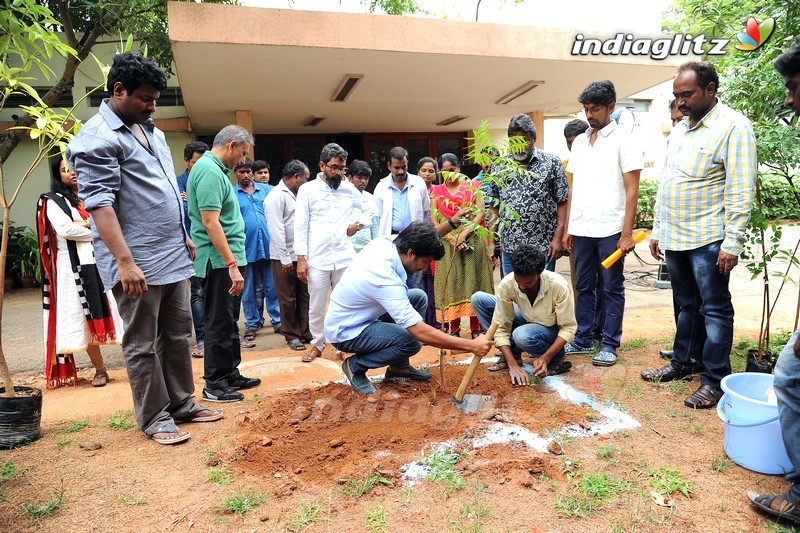 Nani Participates in Haritha Haram