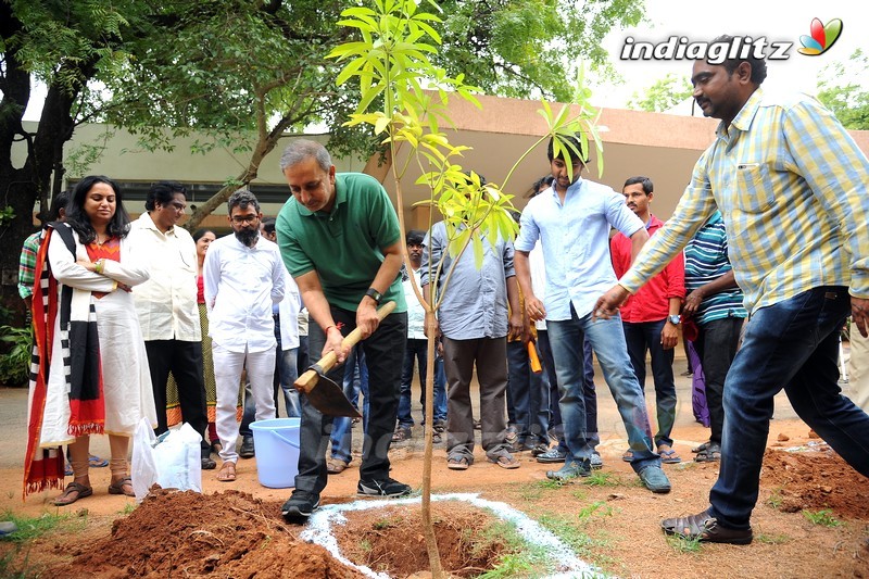 Nani Participates in Haritha Haram