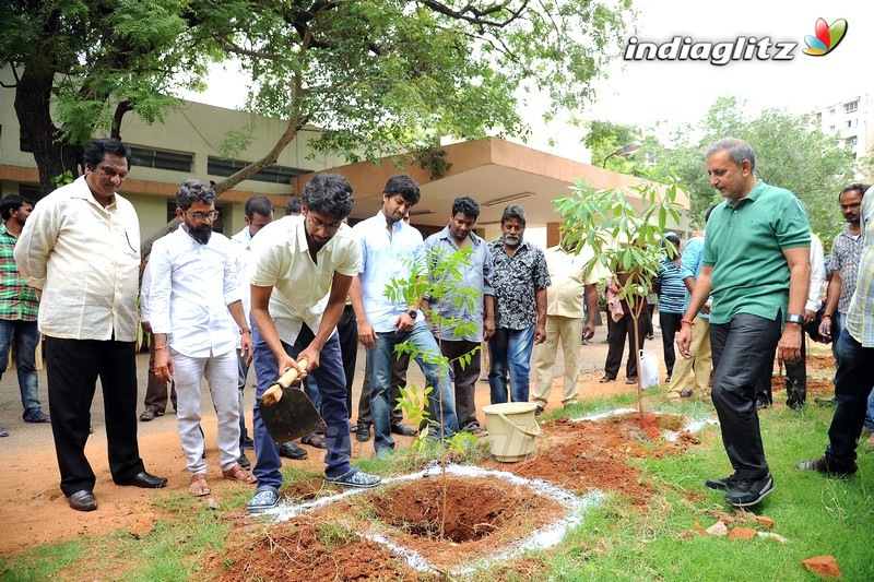 Nani Participates in Haritha Haram