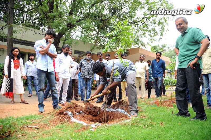 Nani Participates in Haritha Haram