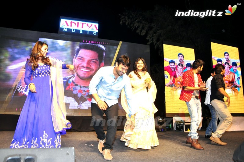 'Nanna Nenu Naa Boyfriends' Audio Launch (Set-2)
