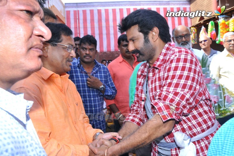 Balakrishna's 102nd Movie Launch